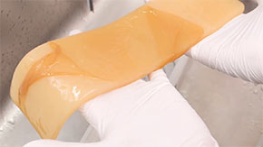 イカっぽいもの