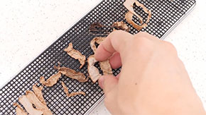 乾かしたところ