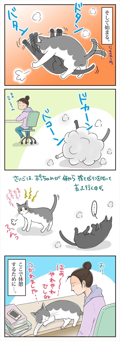 母さんは今日も世話をやく