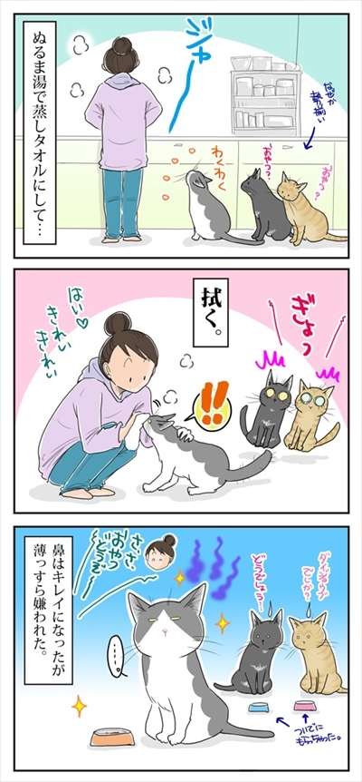 母さんは今日も世話をやく