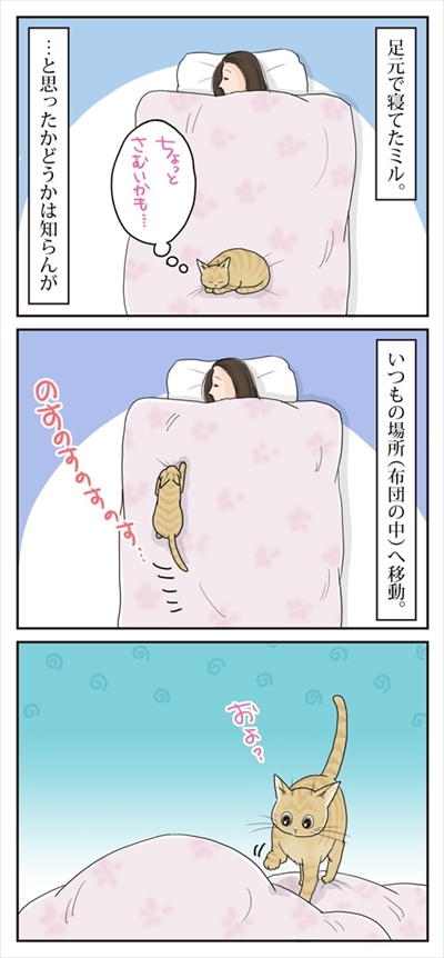 母さんは今日も世話をやく