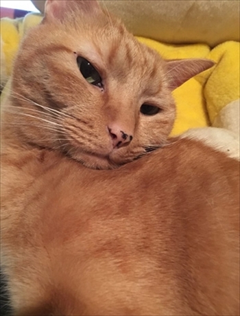 母さんは今日も世話をやく