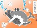 飼い主が思わずツッコむきょうだい猫のケンカのオチとは？　3匹のネコとの暮らしを描いた漫画がにぎやか
