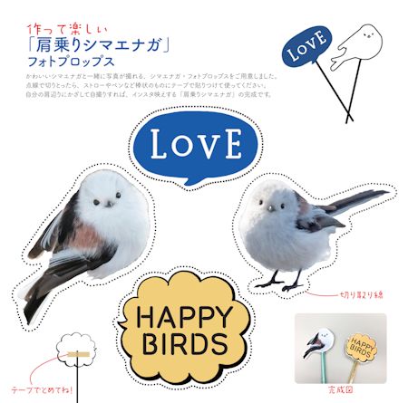  シマエナガフォトプロップスイラスト