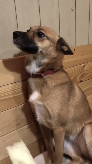 春ちゃん横向きアップ