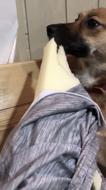 春ちゃんアップとクッション