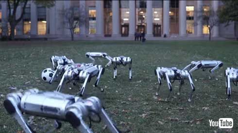 MIT マサチューセッツ工科大学 四つ足 ロボット Mini Cheetah 9体 テスト動画
