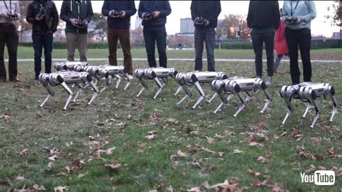 MIT マサチューセッツ工科大学 四つ足 ロボット Mini Cheetah 9体 テスト動画