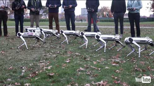 MIT マサチューセッツ工科大学 四つ足 ロボット Mini Cheetah 9体 テスト動画