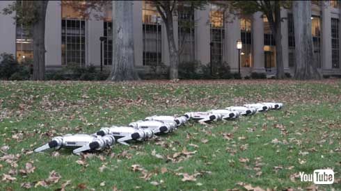 MIT マサチューセッツ工科大学 四つ足 ロボット Mini Cheetah 9体 テスト動画