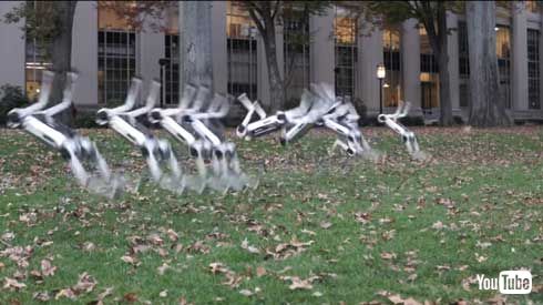 MIT マサチューセッツ工科大学 四つ足 ロボット Mini Cheetah 9体 テスト動画