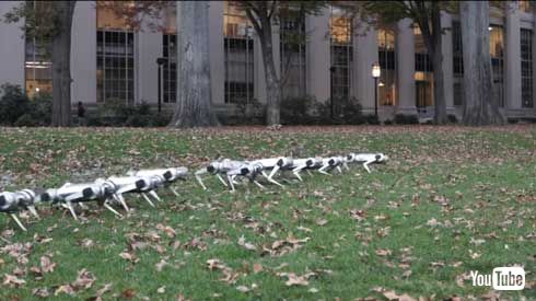 MIT マサチューセッツ工科大学 四つ足 ロボット Mini Cheetah 9体 テスト動画