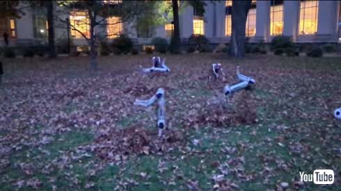 MIT マサチューセッツ工科大学 四つ足 ロボット Mini Cheetah 9体 テスト動画