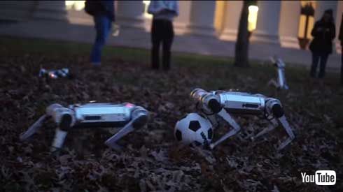 MIT マサチューセッツ工科大学 四つ足 ロボット Mini Cheetah 9体 テスト動画