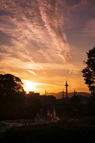 京都国立博物館でちょい飲み