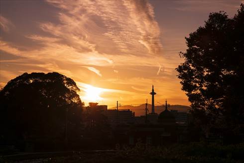 京都国立博物館でちょい飲み