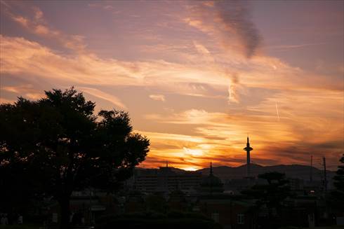 京都国立博物館でちょい飲み
