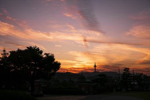 京都国立博物館でちょい飲み