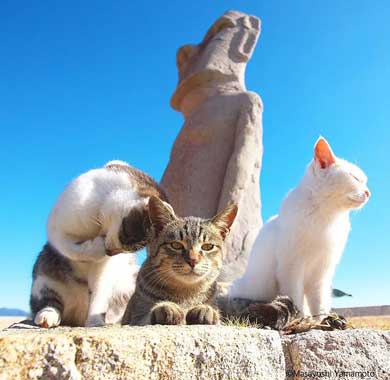 大気を操る 猫 見守る師匠 野良猫 立ち猫 立体化 フィギュア めーちっさい