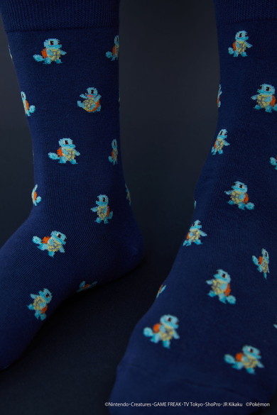 socks appeal ポケモン　靴下 ちっちゃく並んだポケモンたちににっこり 「ソックスアピール