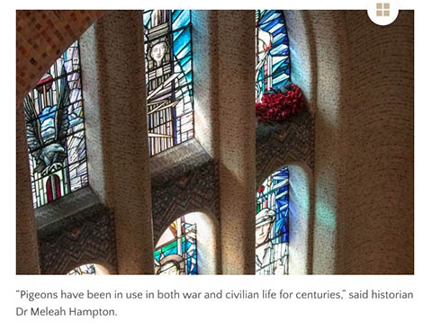 兵士の墓に供えられた花が盗まれた？　赤いポピーで作られたハトの巣が荘厳で美しい