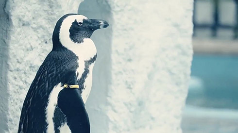 鉄道 動画 上野 モノレール 路面電車 ムービー ミュージックホーン ペンギン