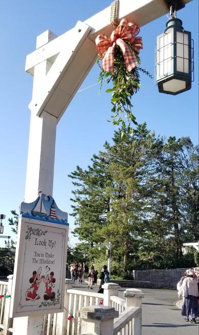 東京ディズニーシーデコレーション