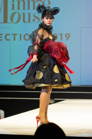 Minnie Mouse Collection2019