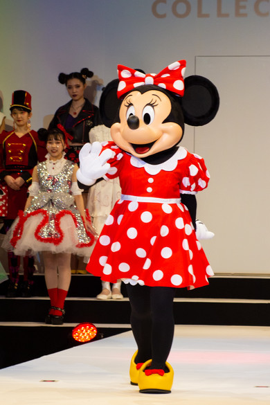 Minnie Mouse Collection2019