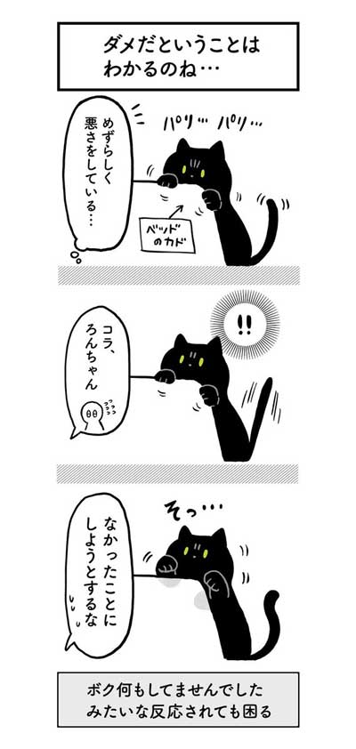 黒猫ろんと暮らしたら AKR 漫画 単行本 ろんの絵日記 猫 かわいい
