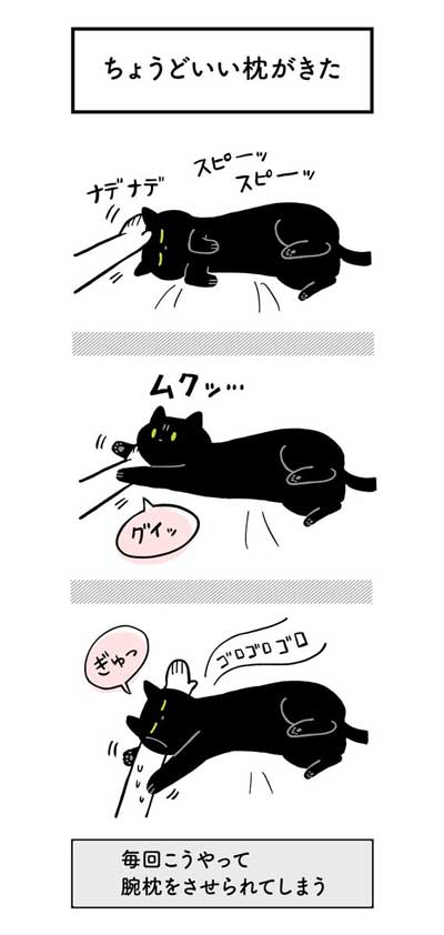 黒猫ろんと暮らしたら AKR 漫画 単行本 ろんの絵日記 猫 かわいい