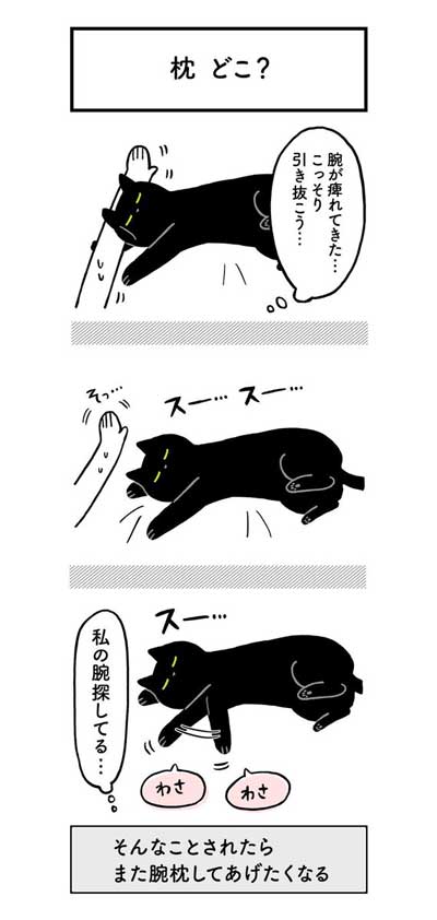 黒猫ろんと暮らしたら AKR 漫画 単行本 ろんの絵日記 猫 かわいい
