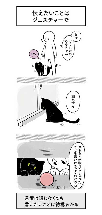黒猫ろんと暮らしたら AKR 漫画 単行本 ろんの絵日記 猫 かわいい