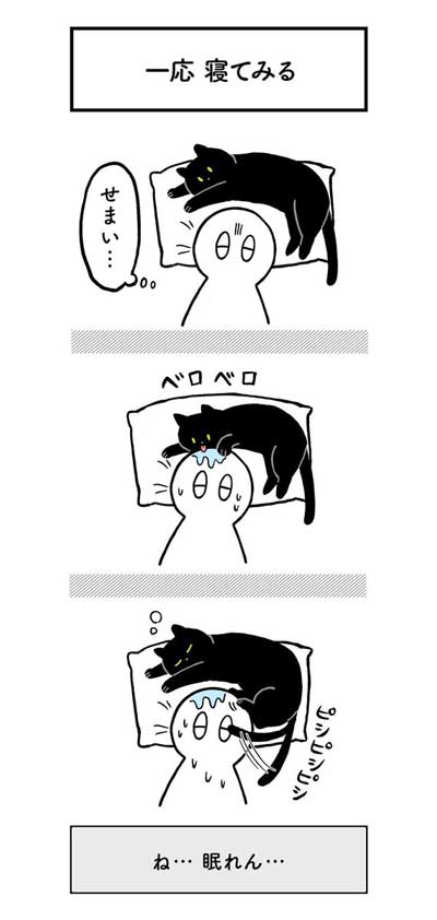 黒猫ろんと暮らしたら AKR 漫画 単行本 ろんの絵日記 猫 かわいい