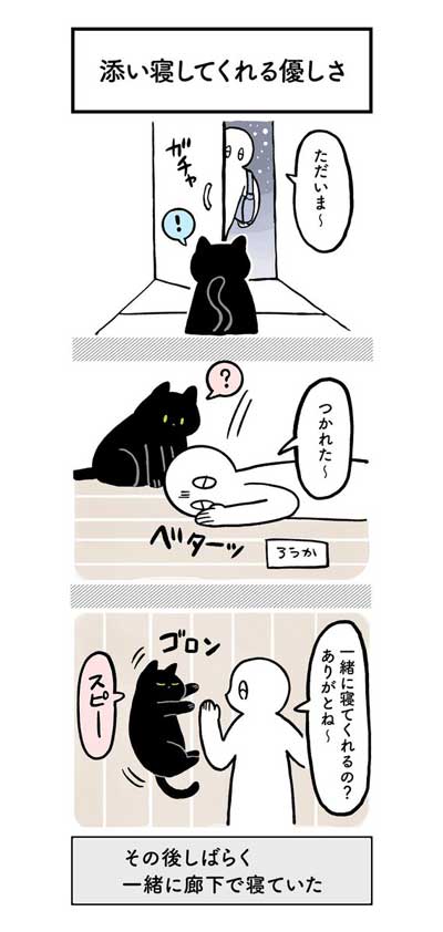 黒猫ろんと暮らしたら AKR 漫画 単行本 ろんの絵日記 猫 かわいい