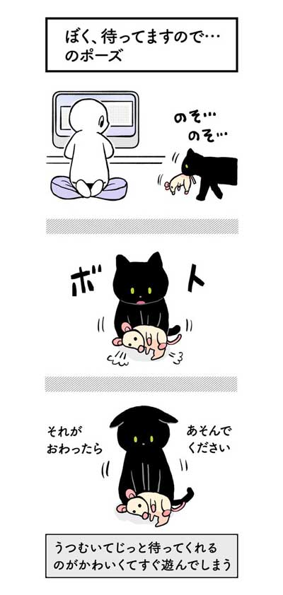 黒猫ろんと暮らしたら AKR 漫画 単行本 ろんの絵日記 猫 かわいい