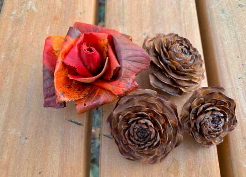 桜 イチョウ 落ち葉 作る バラ 薔薇 シダーローズ 草花あそび研究所 inori