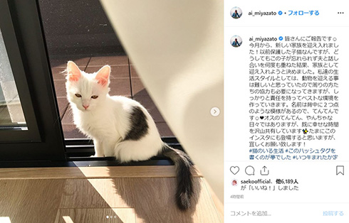 宮里藍 新しい家族 保護猫