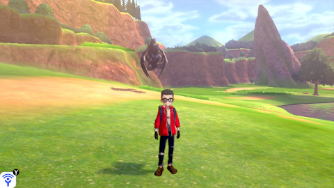 ワイルドエリア楽しすぎ