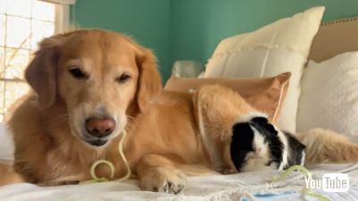 Sharing Zoodles