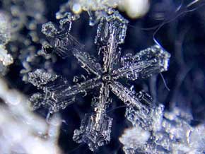 雪結晶 スマホ 撮影 100均 マクロレンズ 写真 荒木健太郎 やり方 コツ