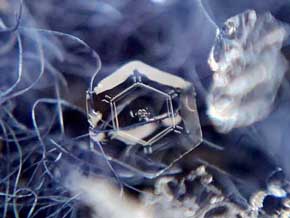 雪結晶 スマホ 撮影 100均 マクロレンズ 写真 荒木健太郎 やり方 コツ