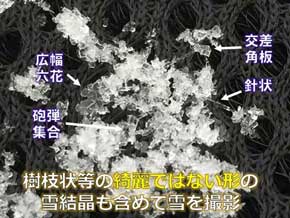雪結晶 スマホ 撮影 100均 マクロレンズ 写真 荒木健太郎 やり方 コツ