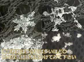 雪結晶 スマホ 撮影 100均 マクロレンズ 写真 荒木健太郎 やり方 コツ