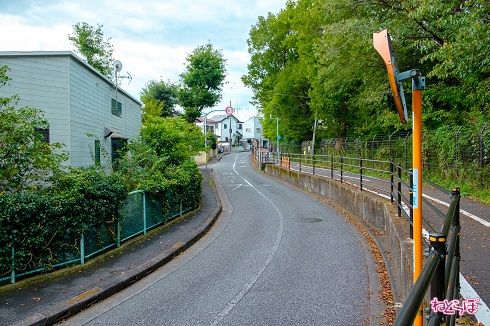 高低差のある、歩いていてたのしい道です