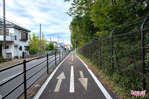 自転車通行帯が車道と分離されているので自転車の人も走りやすそう