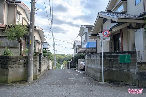 歩くこと約10分、なんてことのない路地ですが、この先にものすごい坂が……！