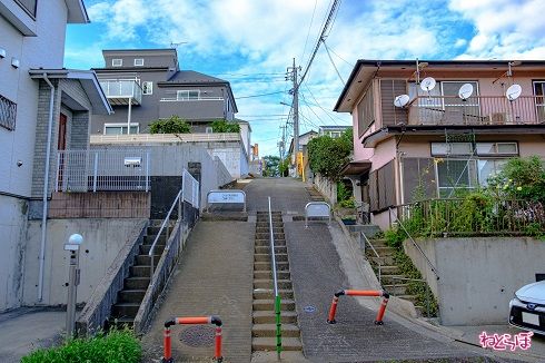 これが37％の坂の全貌だ！