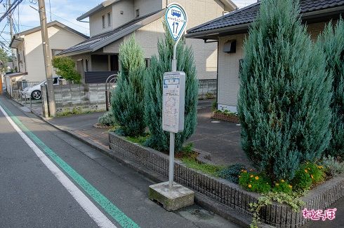 坂の下にある「湖畔」バス停