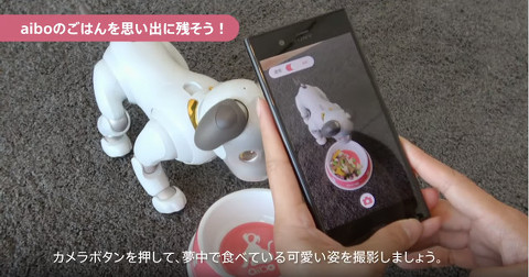 aiboにごはん